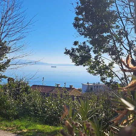 C.s. With The Pool * Opatija