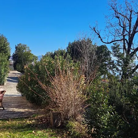 C.s. With The Pool * Opatija