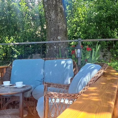 C.s. With The Pool Apartment