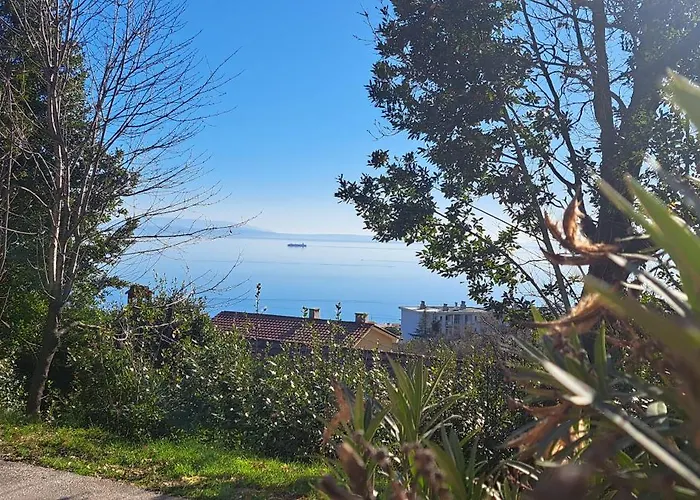 C.s. With The Pool * Opatija